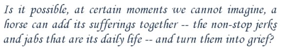 Is it possible, at certain moments we cannot imagine, a horse can add its sufferings together -- the non-stop jerks and jabs that are its daily life -- and turn them into grief?”  Equus: A Play in Two Acts  By Peter Shaffer