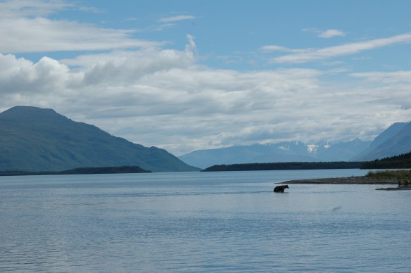  Wildlife Photography ©Jim Robertson, All Rights Reserved