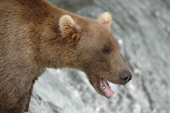 ,  All Rights Reserved