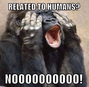 10418292_778659628825562_4081410081902108848_n