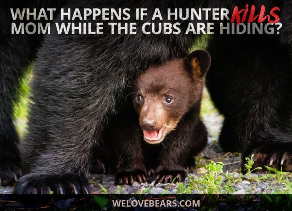 Featured Image -- 10557