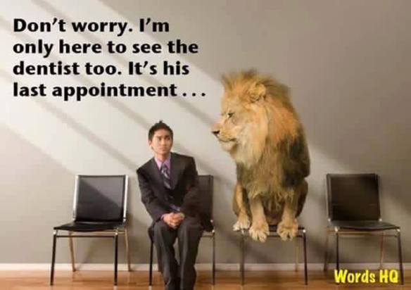 12043212_1704837366401794_8125617903529489910_n