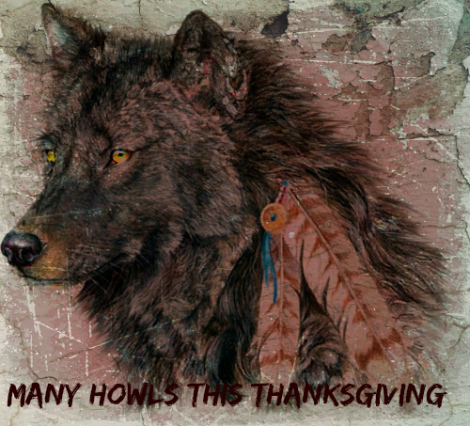 Thanksgiving Wolves Background Happy Thanksgiving – Remember The Wolves | Exposing the Big Game