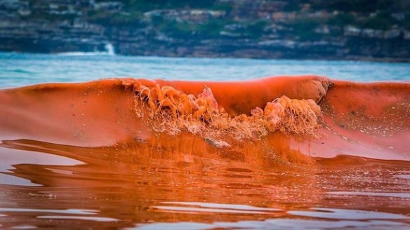 Red Tide