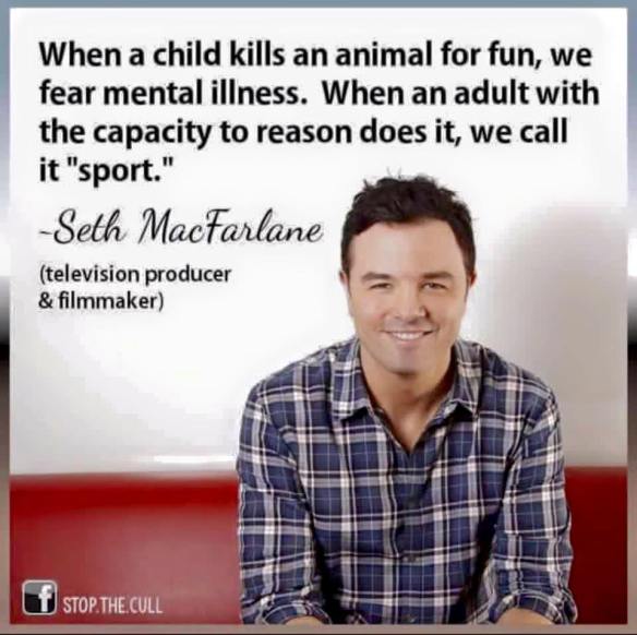 12662618_1732736816960644_7312378577935329945_n