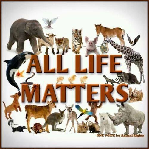 10615414_311553309030149_2346944286901096966_n