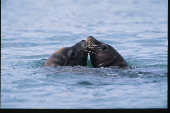 Photo @ Jim Robertson