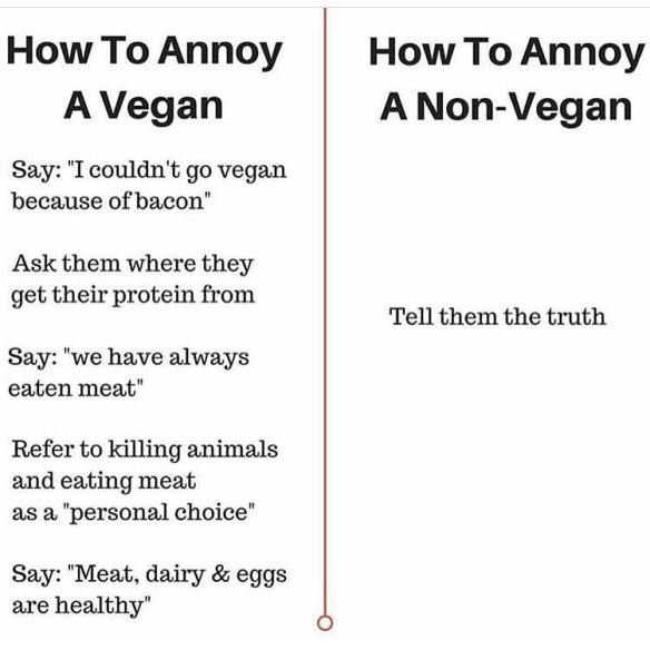 13654376_1227649830579512_5081855131054850967_n