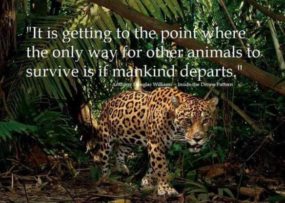 46507_1595266350766522_1652800058696859973_n