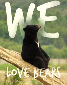 Featured Image -- 12780