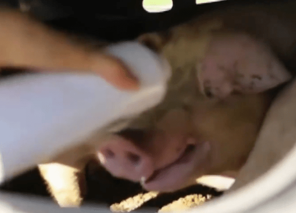 Featured Image -- 12776