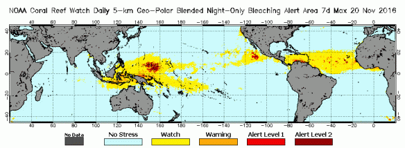 current-coral-bleaching-status