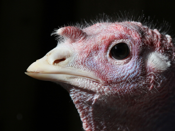 Featured Image -- 9294