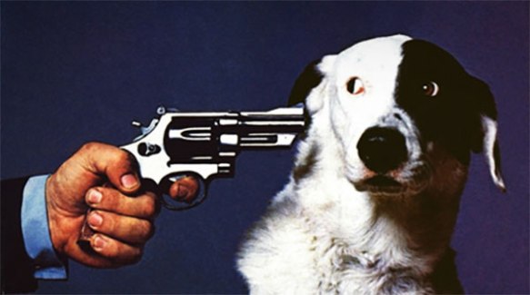 shoot dog