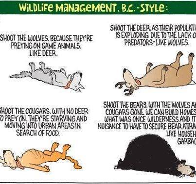 10561710_10152240672145976_453184585860093786_n