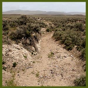 a degraded stream channel in Nevada