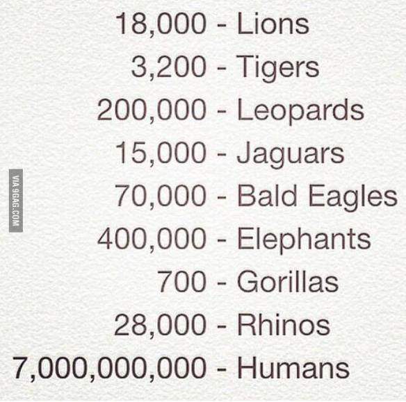 10678776_10152936650136840_7539051632152355942_n