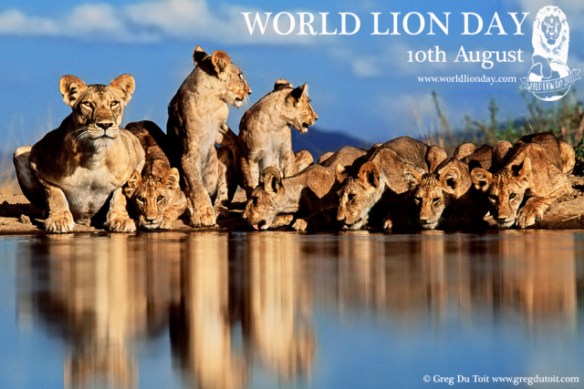 WORLD LION DAY 2013 Picture 019