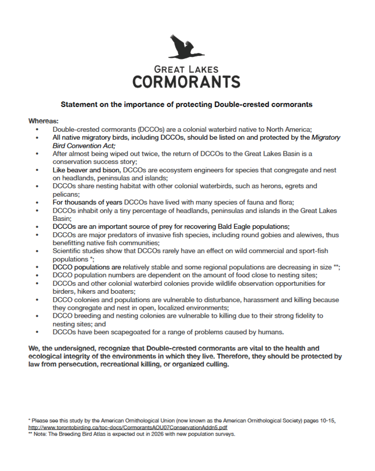 Screen Shot 2021-09-14 at 10.20.18 AM.png