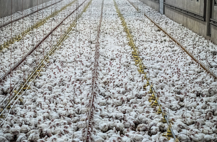 Screenshot (696).png